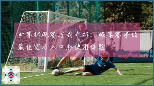 世界杯观赛方式介绍：畅享赛事的最佳官方入口和使用体验