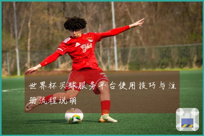 世界杯买球服务平台使用技巧与注册流程说明