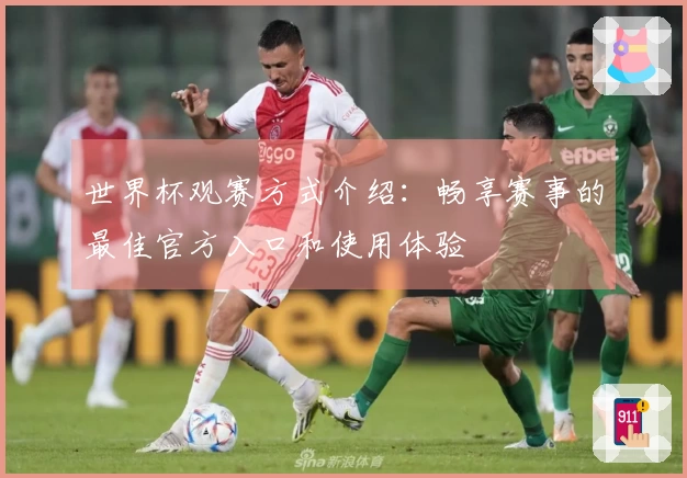 世界杯观赛方式介绍：畅享赛事的最佳官方入口和使用体验