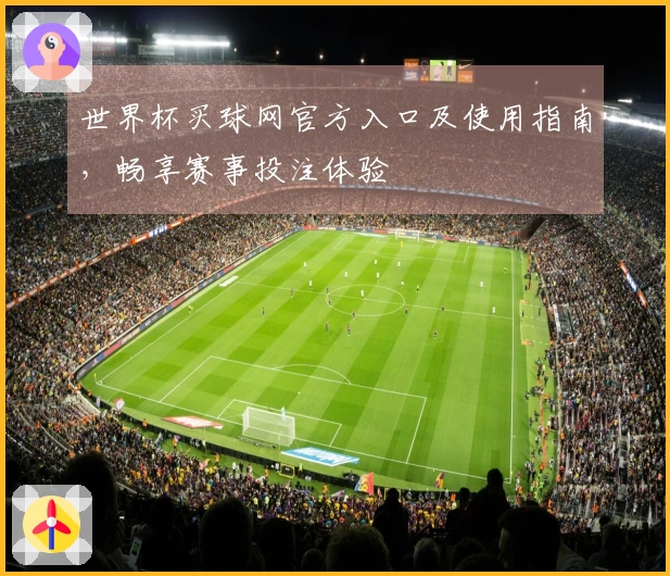世界杯买球网官方入口及使用指南，畅享赛事投注体验